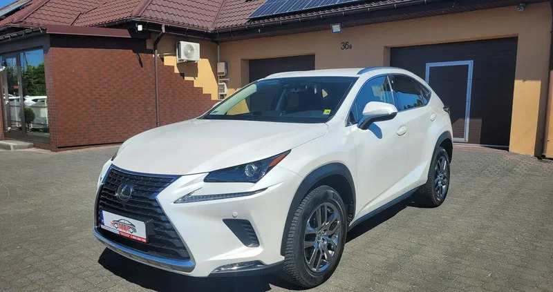 lexus kraśnik Lexus NX cena 138900 przebieg: 49474, rok produkcji 2019 z Kraśnik